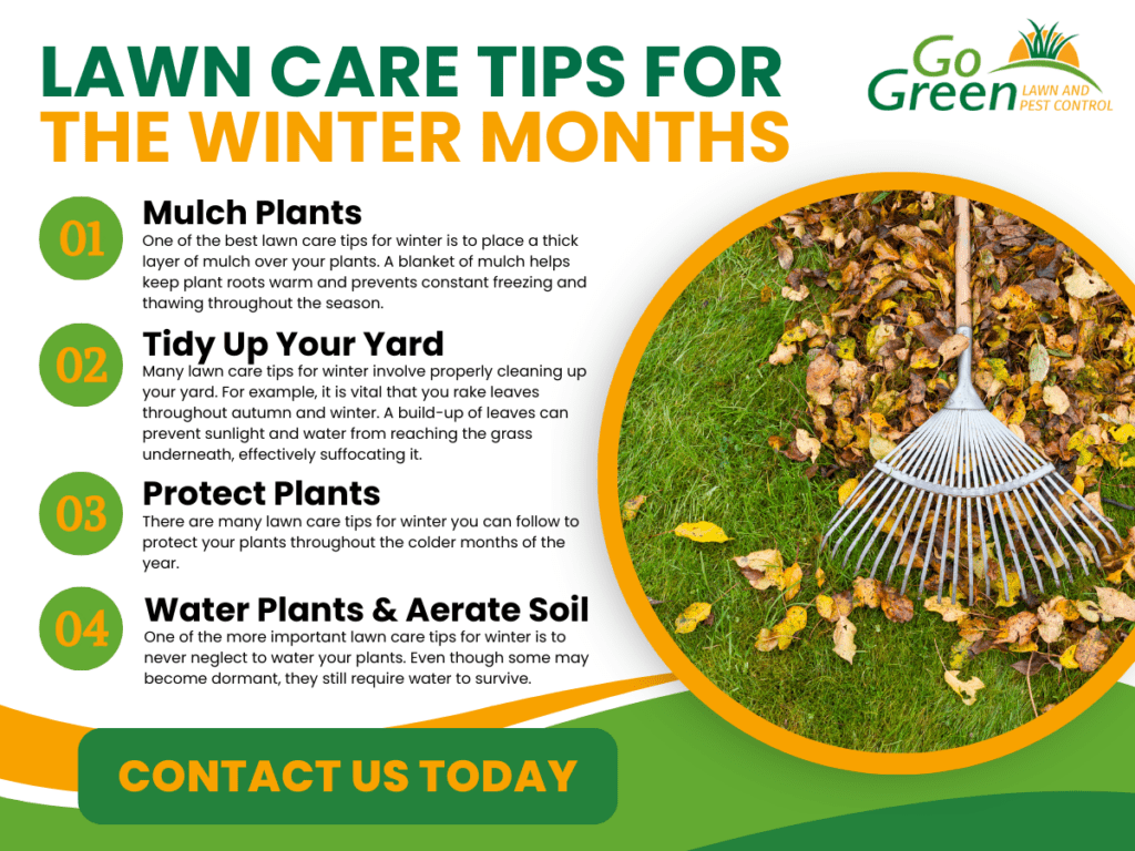 winter lawn tips - Go Green Lawn And Pest Control