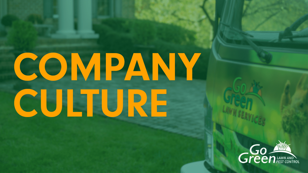GG-Company-Culture-video thumbnail