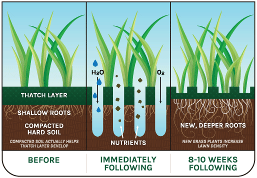 Aeration seeding